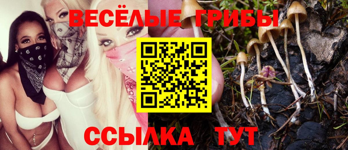 ТГК Карпинск